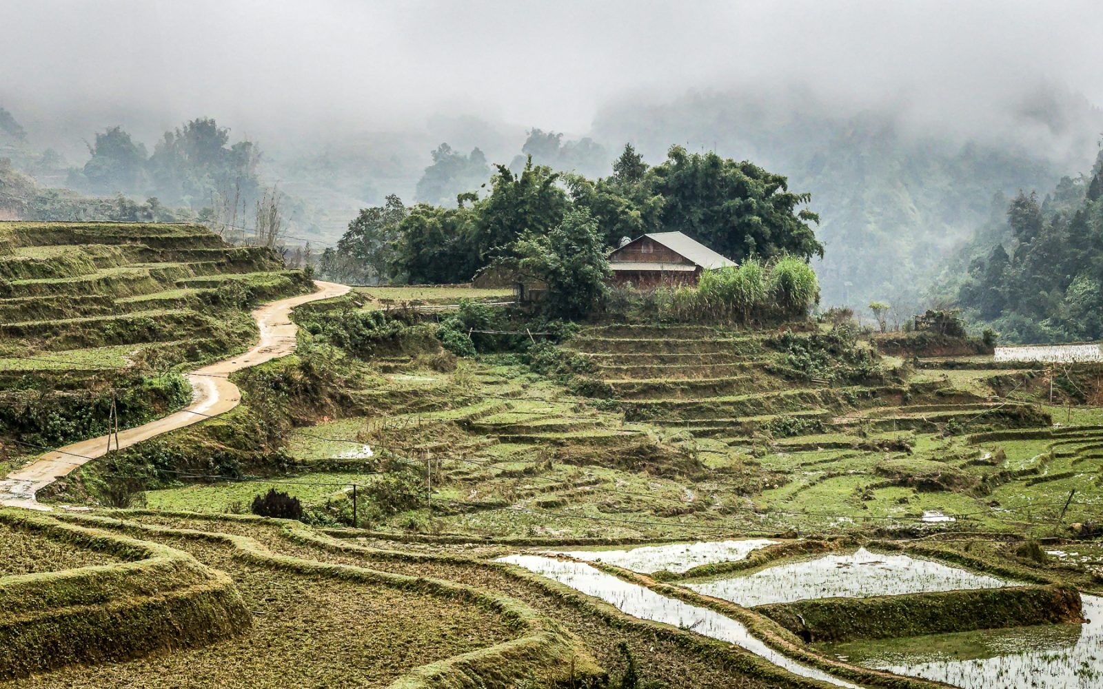 Những thửa ruộng bậc thang ôm quanh một mái nhà miền núi